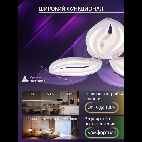 Потолочная люстра Natali Kovaltseva Sm LED LAMPS 81456