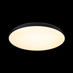 Потолочный светильник Loft IT Dime 10371 Black