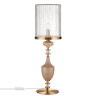 Настольная лампа Odeon Light Modern Terra 5414/1TA