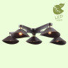 Накладная люстра Lussole Loft Opelika GRLSP-9535