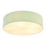 Потолочный светильник Lumion Moderni Gofera 8326/5