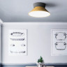Потолочный светильник ImperiumLoft Knap 193551-26
