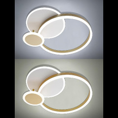 Потолочная люстра Natali Kovaltseva LED LAMPS 81303