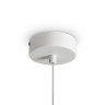 Подвесной светильник Freya Pietre FR5592PL-01BS1