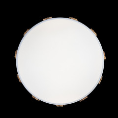Потолочный светильник Loft IT AXEL 10006/36 White