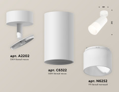 Спот Ambrella Light Techno Spot XM6322012 (A2202, C6322, N6252)