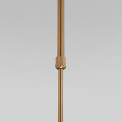 Подвесной светильник Eurosvet Pacific 50255/1 латунь a063265