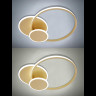 Потолочная люстра Natali Kovaltseva LED LAMPS 81306