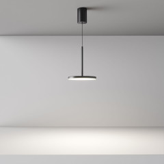 Подвесной светильник Maytoni Plato P076PL-L12W4K-B