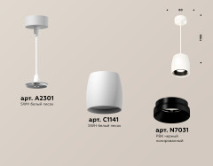Подвесной светильник Ambrella Light Techno Spot XP1141001 (A2301, C1141, N7031)