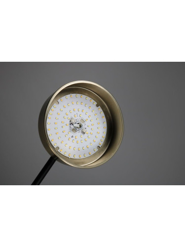 Люстра на штанге Zortes Lunar ZRS.01243.08