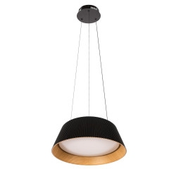 Подвесной светильник Loft IT Evans 10224P Black
