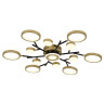 Потолочный светильник F-Promo Hybrid 4686-13C