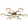 Потолочный светильник F-Promo Hybrid 4686-13C