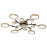 Потолочный светильник F-Promo Hybrid 4686-13C