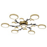 Потолочный светильник F-Promo Hybrid 4686-13C