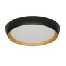 Потолочный светильник Lumina Deco Paneli LDC 8062-48W BK
