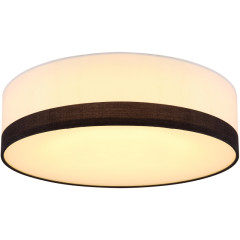 Потолочный светильник Globo Maggy 15385D1