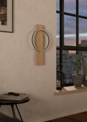 Настенный светильник Eglo Boyal 901715