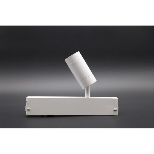 Трековый магнитный светильник Aployt Magnetic track 220 APL.0204.10.07