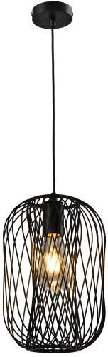 Подвесной светильник Toplight Debra TL1189H-01BK