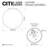 Потолочный светильник Citilux Ron CL941D20B5