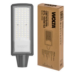 Уличный консольный светильник WOLTA STL-100W/02