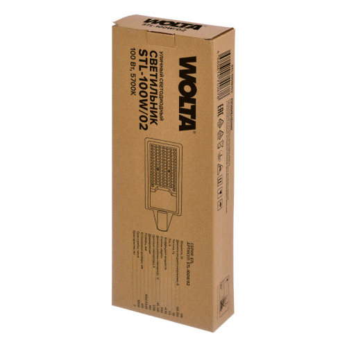 Уличный консольный светильник WOLTA STL-100W/02