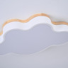 Потолочная люстра ImperiumLoft Cloud Eco 189500-26