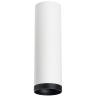 Накладной светильник Lightstar Rullo R64963487 (216496+203487)