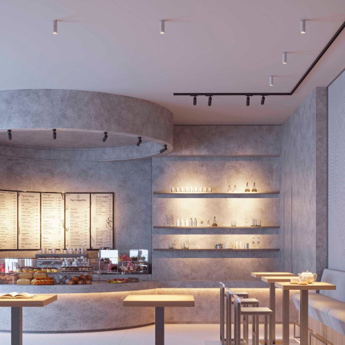 Трековый трехфазный светильник Arlight LGD-ARTEMIS-TRACK-4TR-R55-12W Day4000 (WH, 8-80 deg, 230V, DALI) 057881