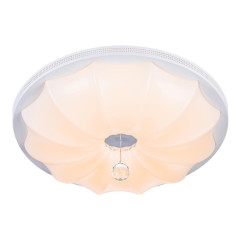 Потолочный светодиодный светильник Escada 10231/S LED