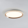 Потолочный светильник LED4U L3020-400 GD