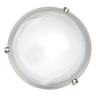 Потолочный светильник Arte Lamp Symphony A3440PL-2CC