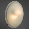 Потолочный светильник Arte Lamp Symphony A3440PL-2CC