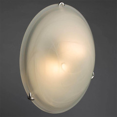 Потолочный светильник Arte Lamp Symphony A3440PL-2CC