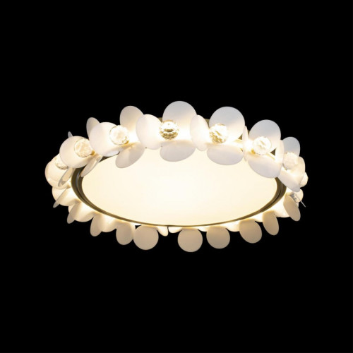 Потолочный cветильник Nowodvorski Arena Black 10175