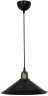 Подвесной светильник Toplight Delilah TL1606H-01BK