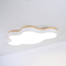 Потолочная люстра ImperiumLoft Cloud Eco 189502-26
