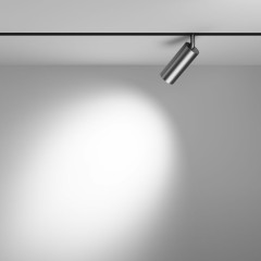 Трековый светильник Maytoni Technical Focus LED TR032-2-12W3K-S-MG