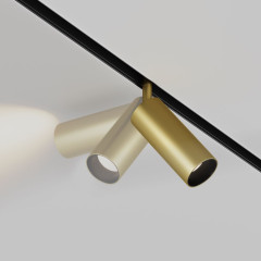 Трековый светильник Maytoni Technical Focus LED TR032-2-12W3K-S-MG