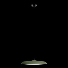 Подвесной светильник Loft IT Plato 10119 Green
