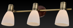 Спот Toplight Sharyl TL3720Y-03BB