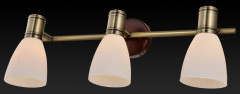 Спот Toplight Sharyl TL3720Y-03BB