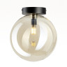 Потолочный светильник Citilux Orton CL202512