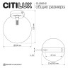 Потолочный светильник Citilux Orton CL202512