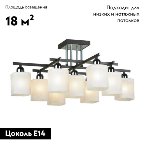 Потолочная люстра Lussole Costanzo LSL-9007-09