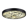 Настенно-потолочный светильник Odeon Light Bergi 5064/40L