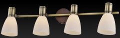 Спот Toplight Sharyl TL3720Y-04BB