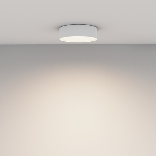 Потолочный светильник Maytoni Technical Ceiling Zon C032CL-24W4K-RD-W